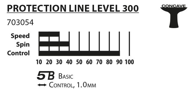 Protection 300
